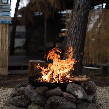 Bash Viral Campsite *