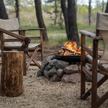 Bash Viral Campsite