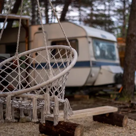 Campsite Bash Viral