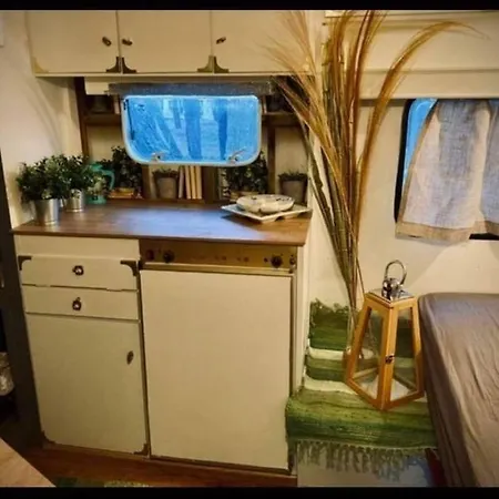 Bash Viral Campsite *