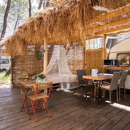 Bash Viral Campsite Chernomorets