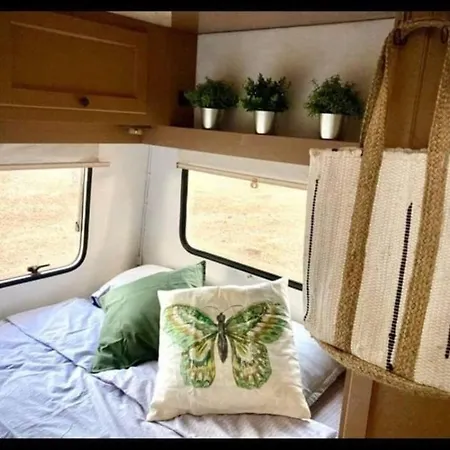 Campsite Bash Viral *