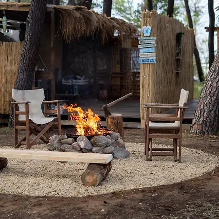 Campsite Bash Viral Chernomorets