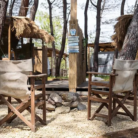 Campsite Bash Viral Chernomorets