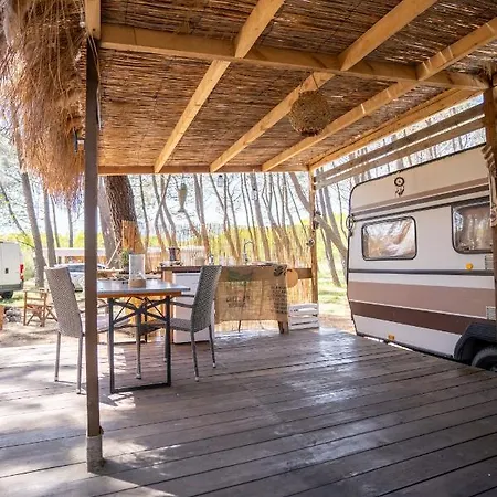 Bash Viral Campsite *